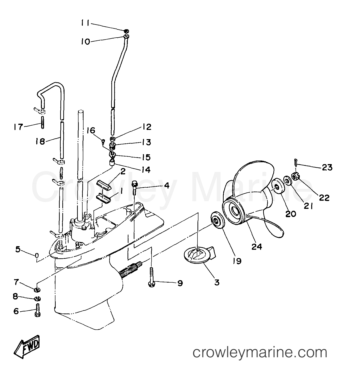 Yamaha Motors C80TLRV - LOWER CASING DRIVE 2