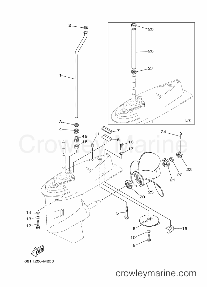 Yamaha Motors E40XWL (66TU) [170] - LOWER CASING & DRIVE 2
