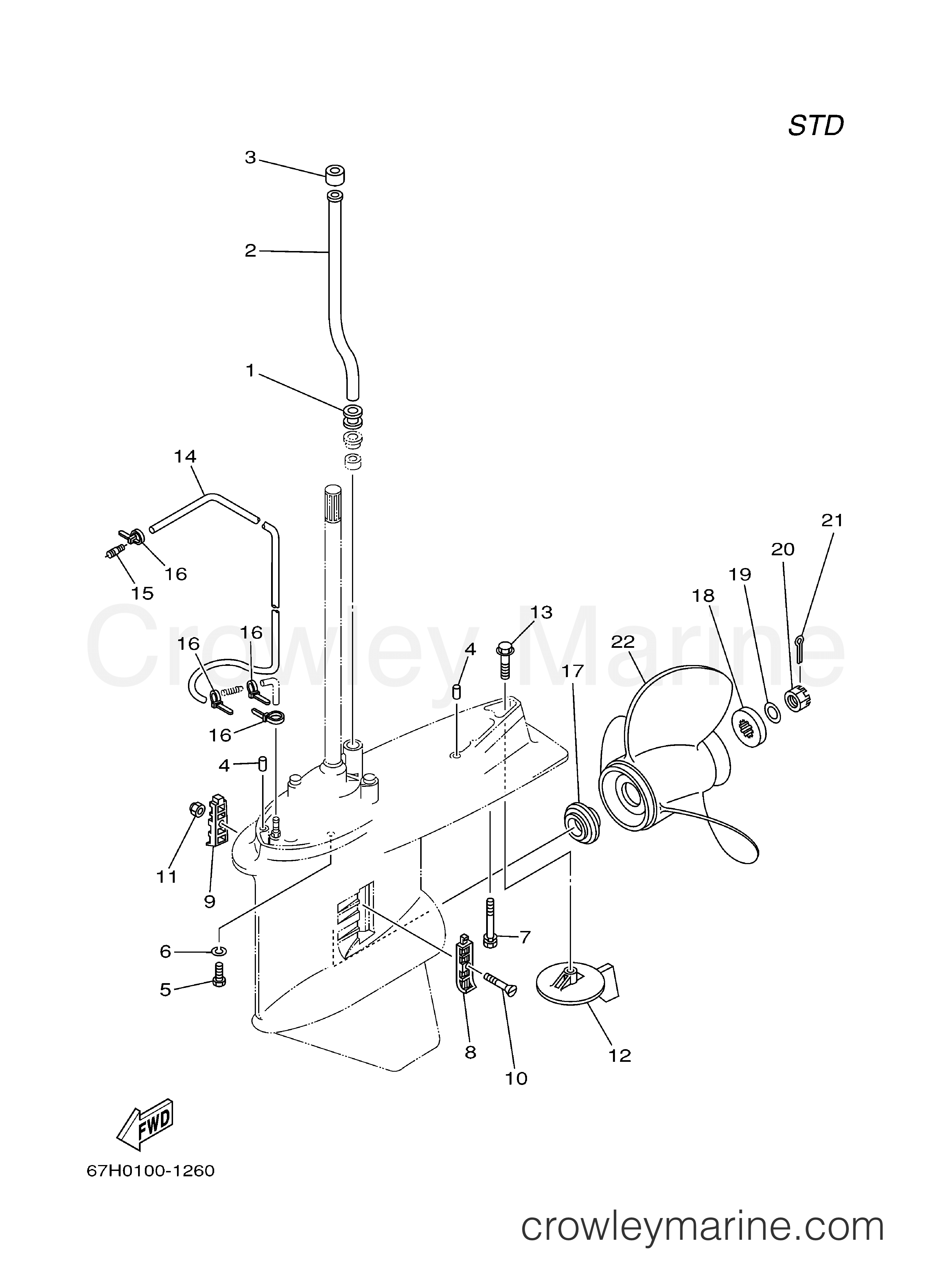 Yamaha Motors Z150TXRD - LOWER CASING DRIVE 2