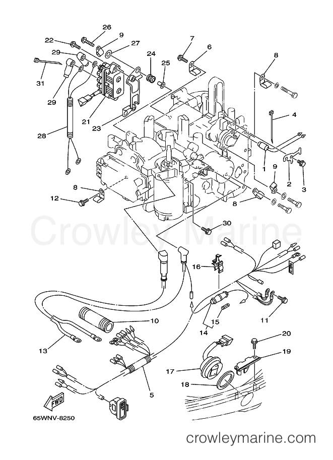 Yamaha Motors F25A (65W) [110] - ELECTRICAL 2